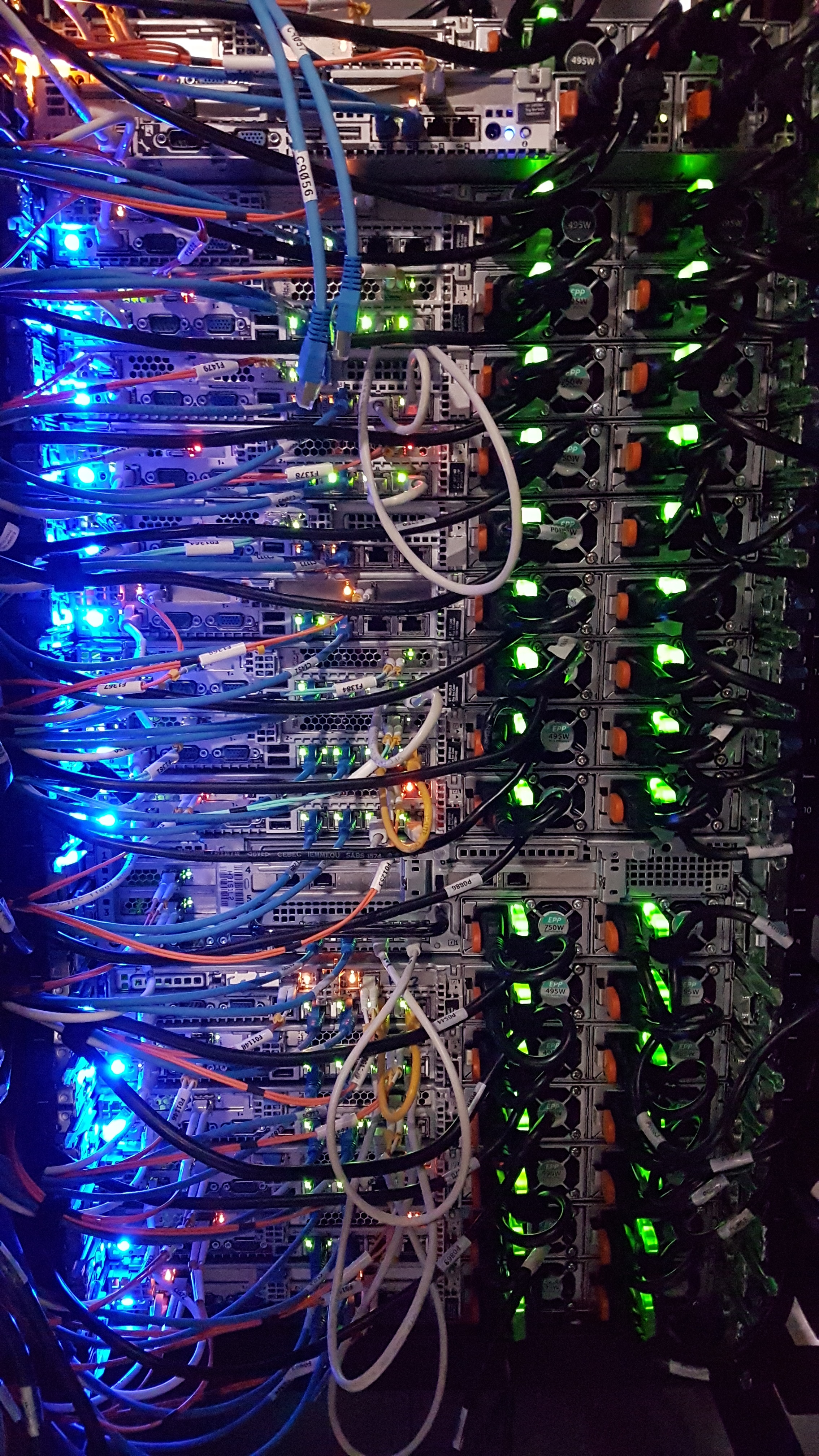 Network